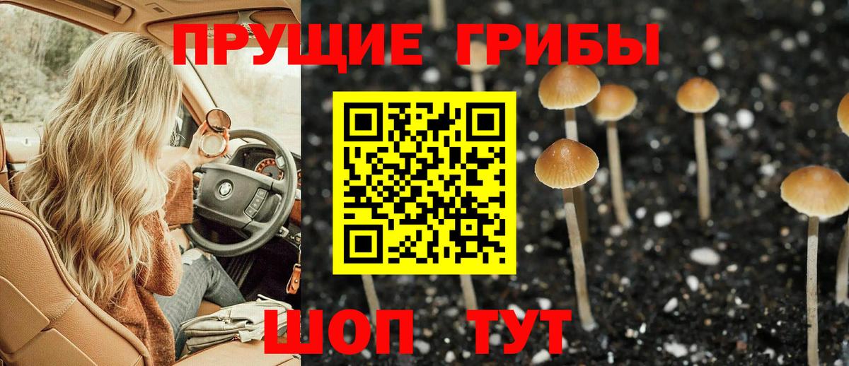Галлюциногенные грибы мухоморы  Галлюциногенные грибы Psilocybe  Вход с VPN  Красноперекопск 